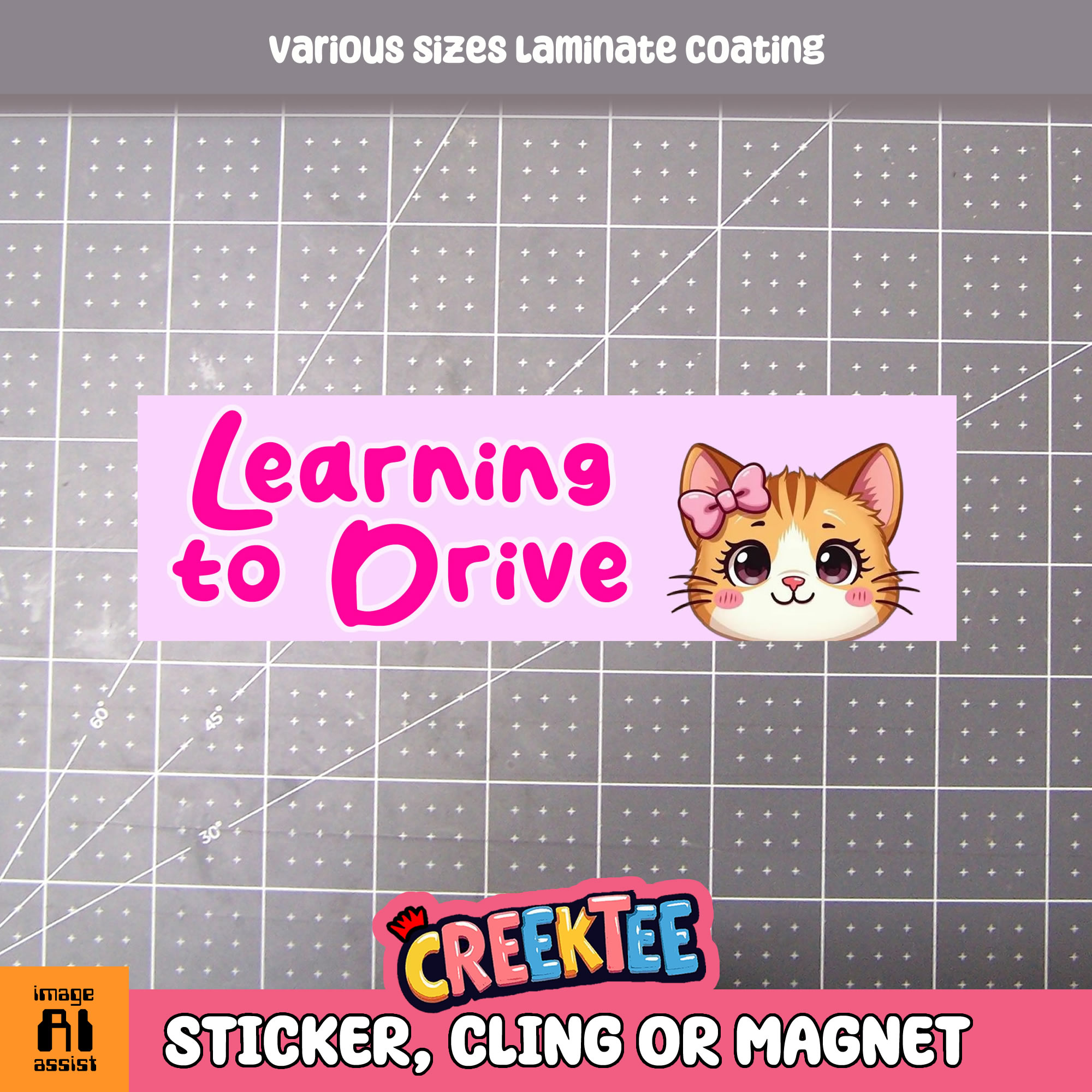 Learning to Drive Vinyl Bumper Sticker  Window Cling or Magnet in UV Laminate Coating and Various Sizes