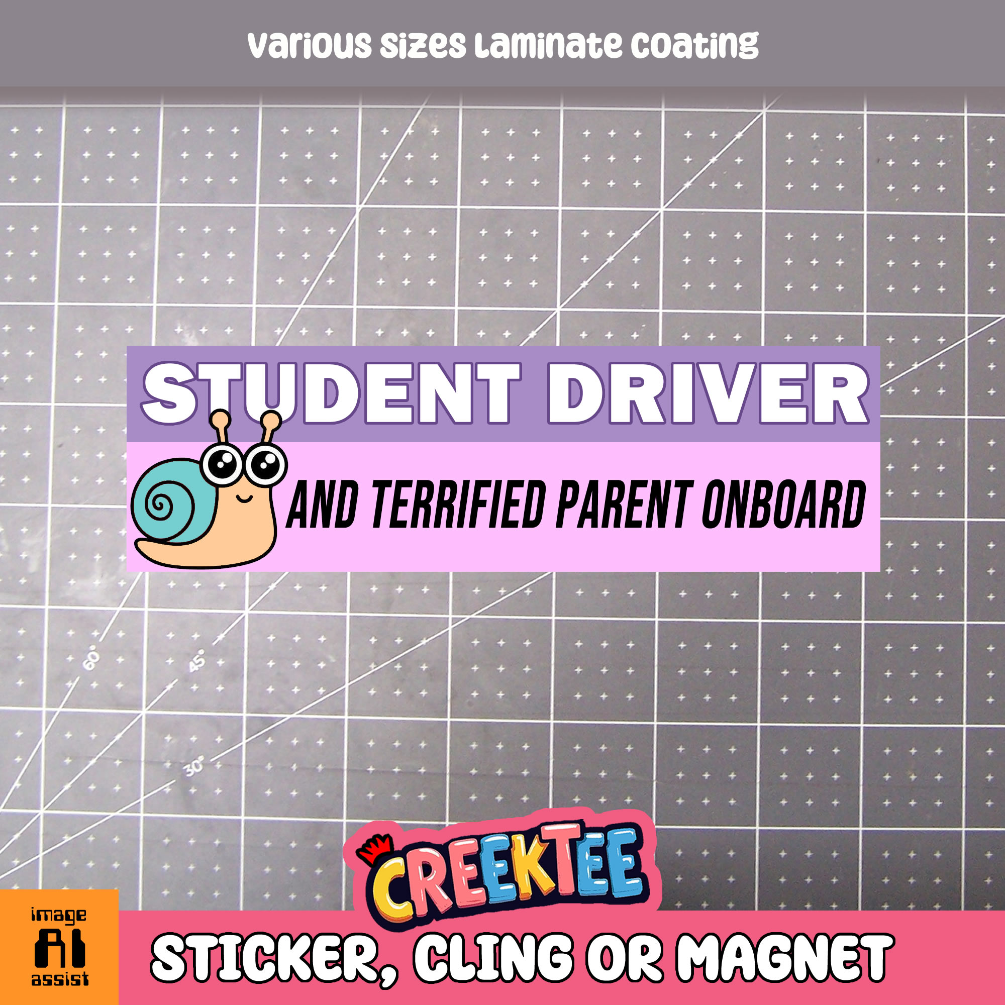 Student Driver and Terrified Parent Onboard Vinyl Bumper Sticker  Window Cling or Magnet in UV Laminate Coating and Various Sizes